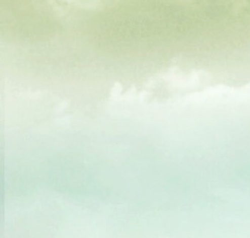 创意种植
