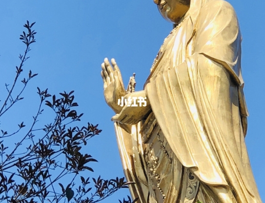 产品免费送的赚钱案例