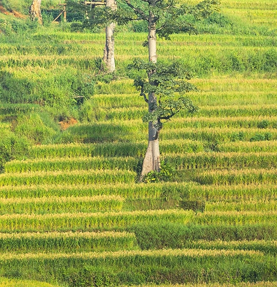 如何摆地摊赚钱项目图片