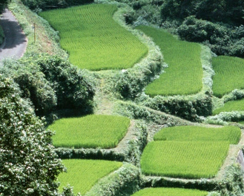 聊天赚钱项目怎么样