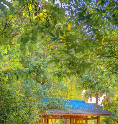 叫代驾出了事故怎么办