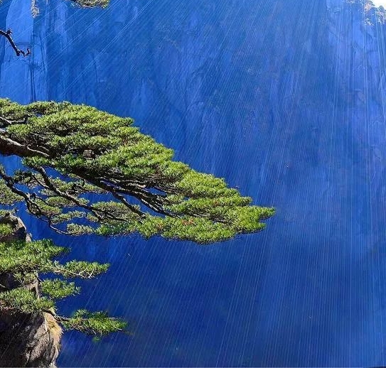 撸货项目怎么赚钱
