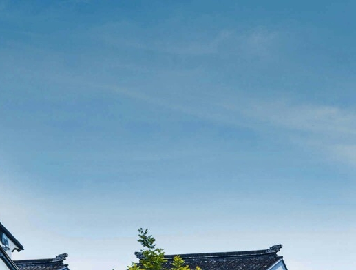 短视频广告成功案例
