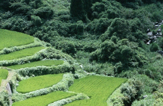 欧洲旅居赚钱方法