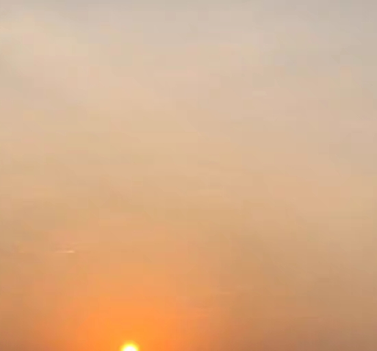 最新免费送的赚钱案例