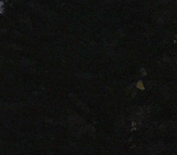 手工向日葵的手工心得体会怎么写