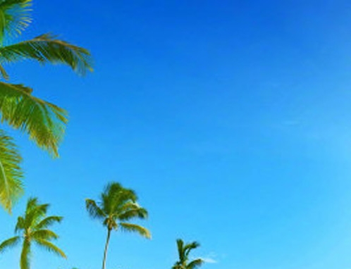 给酒吧送水果赚钱吗