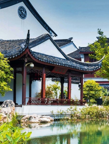 在家乡创业做什么好