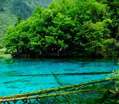 有没有打麻将赚钱的软件
