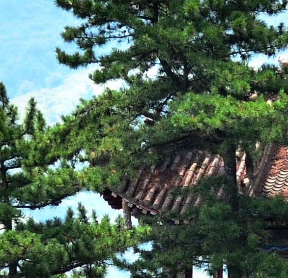 电话手表赚钱案例