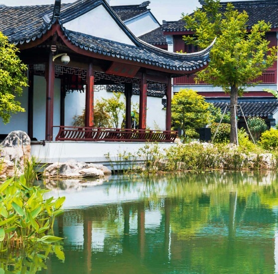 在网上做什么项目赚钱