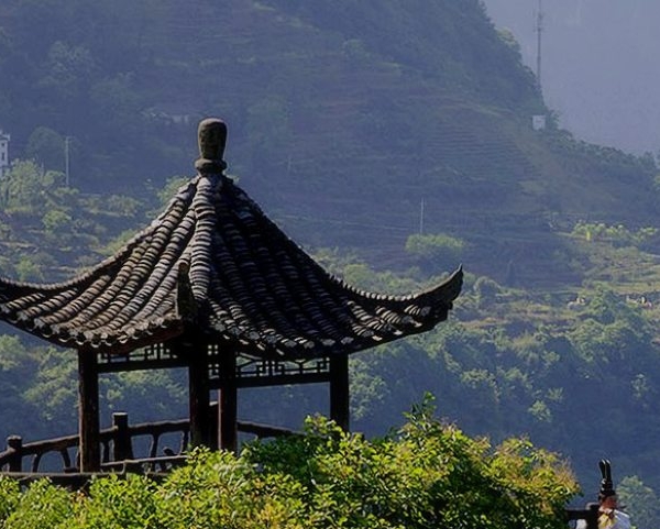 逆变思维赚钱的案例