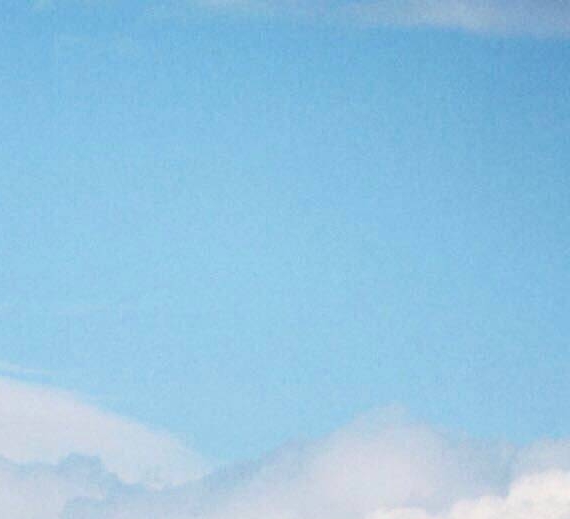 自动赚钱项目