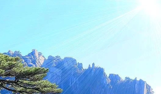 比亚迪赚钱的项目叫什么