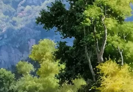 免费模式赚钱案例