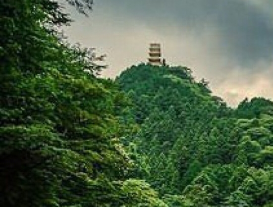 快速有用的赚钱方法