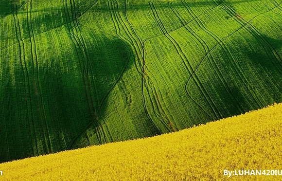 创业失败案例及分析