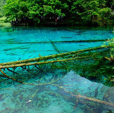 旅馆赚钱案例