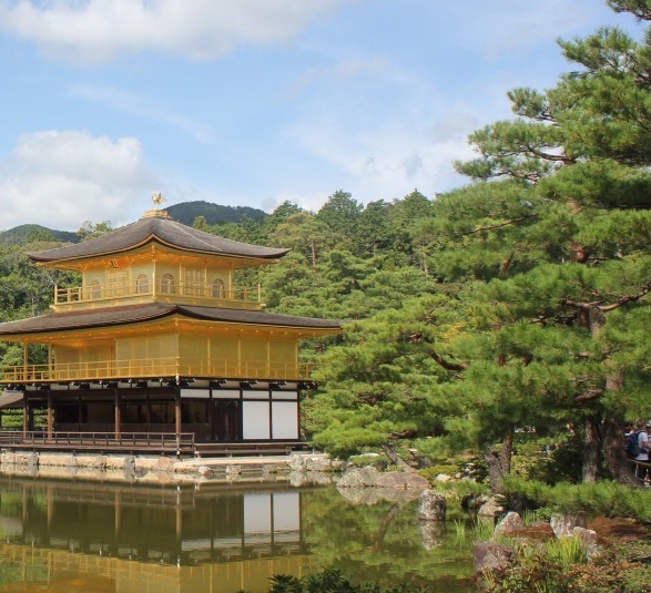 最新赚钱项目活动方案模板