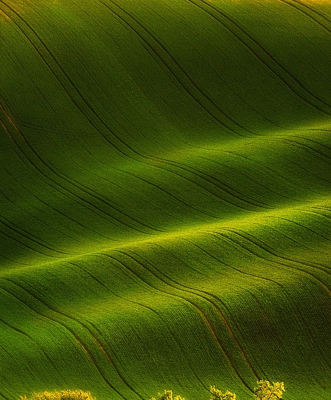 高中生赚钱心得