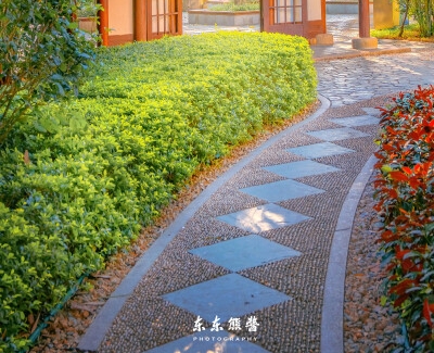 杨柯做什么项目赚钱