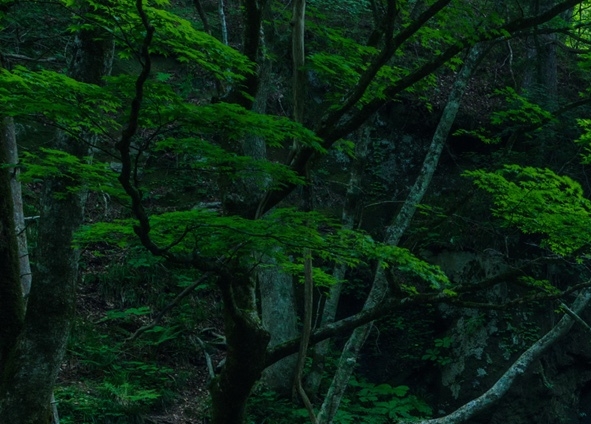 时空猎人手游如何赚钱