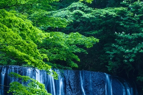 接地气治病案例
