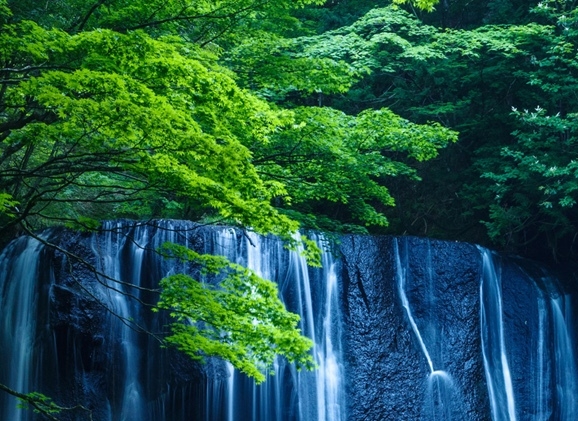 大话西游2怎么赚钱