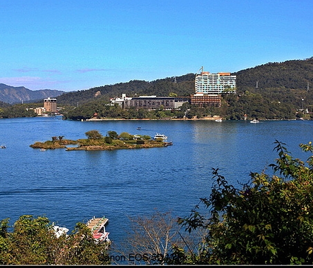 今年什么行业最赚钱的项目