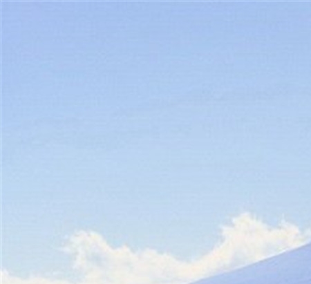 炒股赚钱真实案例