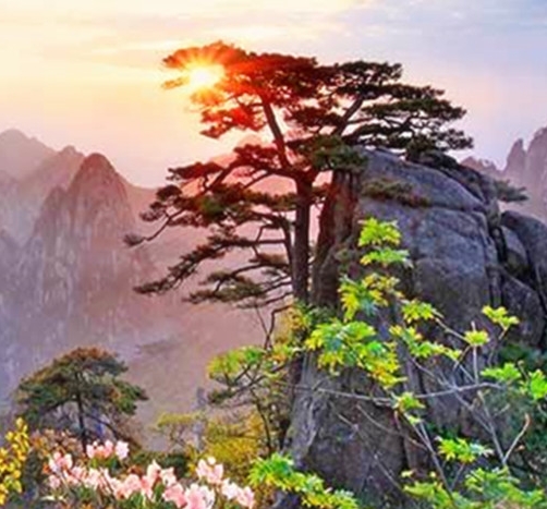对接什么项目赚钱