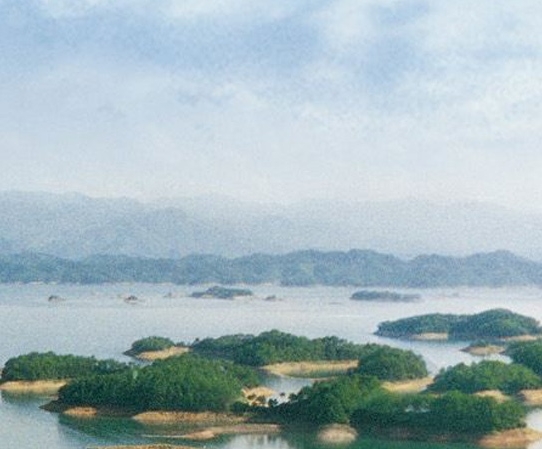 熊市赚钱心得