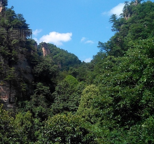携程旅行赚钱方法