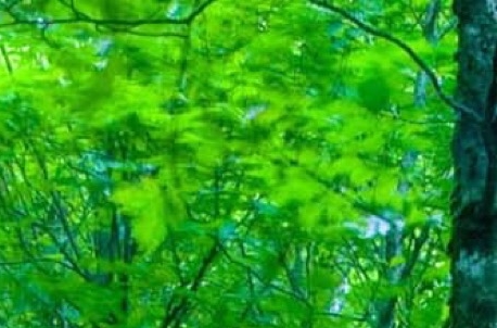 新版趣头条赚钱心得