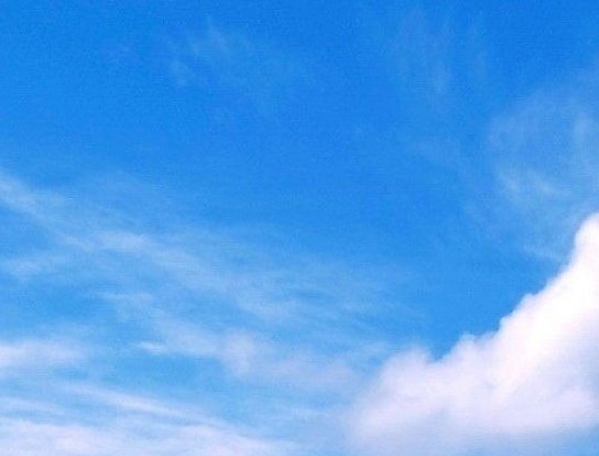 未来集市赚钱案例