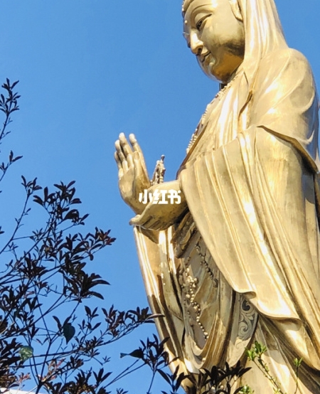 今日头条赚钱的方法