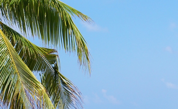 夏天卖冰棒赚钱吗