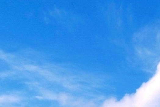 宁晋垃圾发电项目招聘
