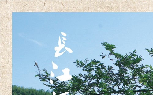 投资煤矿赚钱案例