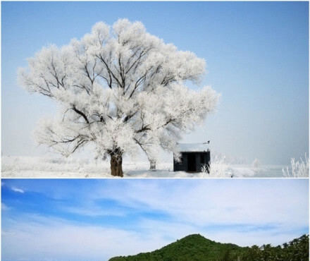 中国最赚钱专业排名