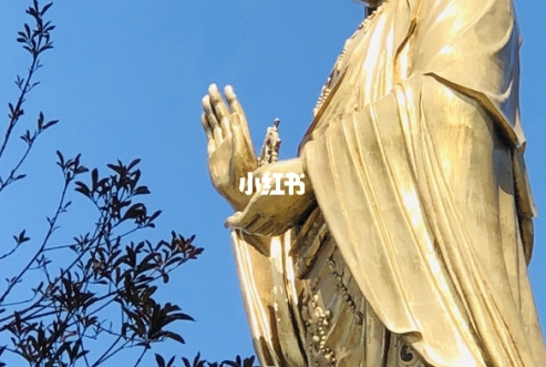 做团购达人赚钱吗