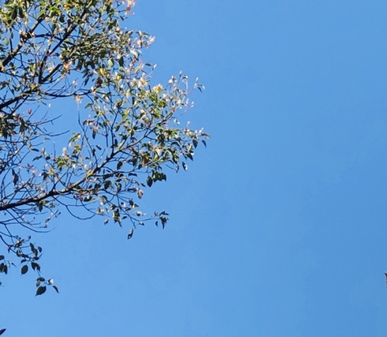今日活动成功案例分析