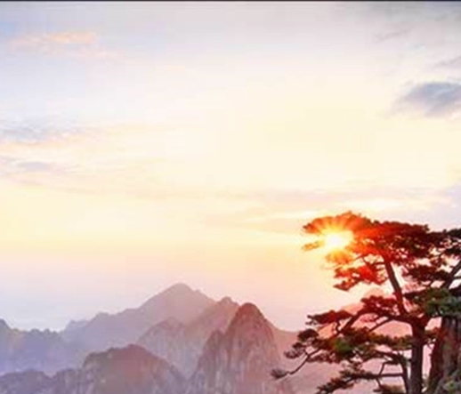 努力赚钱的文案