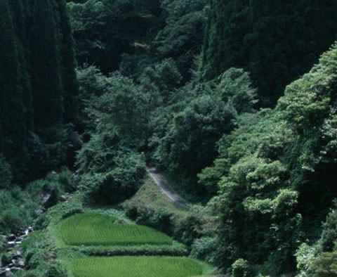 怎么靠医院赚钱