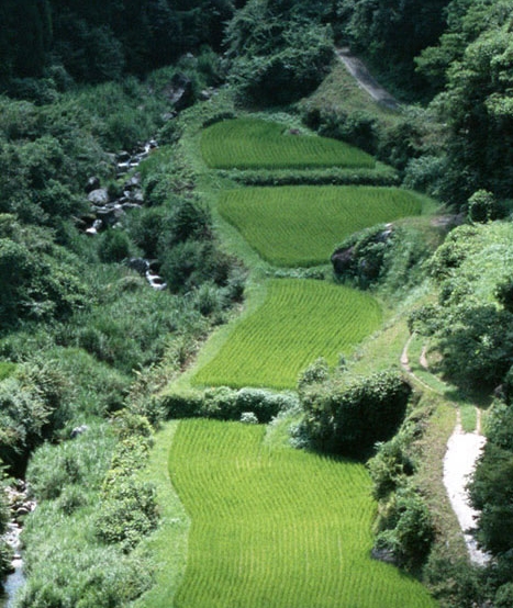 工地赚钱方法视频