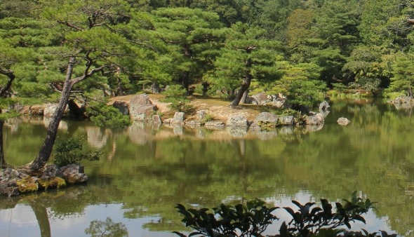 梦幻西游大龙带D5五开能赚钱吗