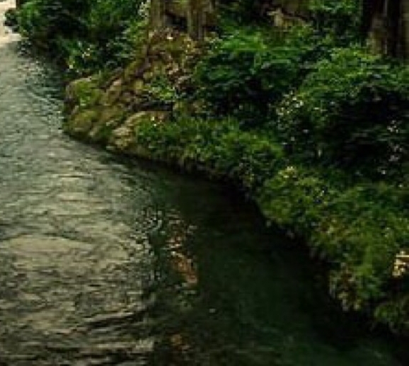 花海项目赚钱多吗