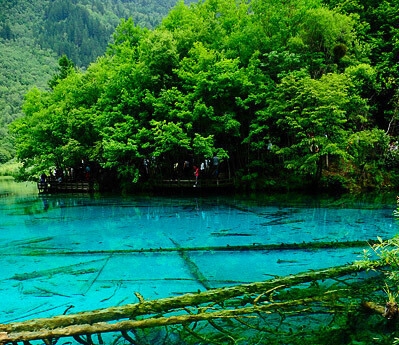 宁波银行定投怎么样
