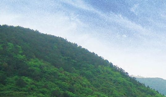 复制别人的短视频可以赚钱吗