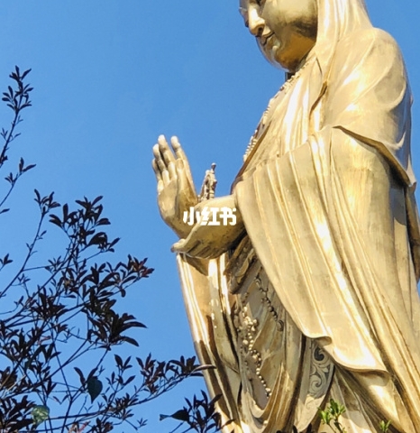 tiktok0基础赚钱方法